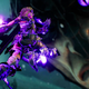 Briar leaps toward the floating head of a demon.